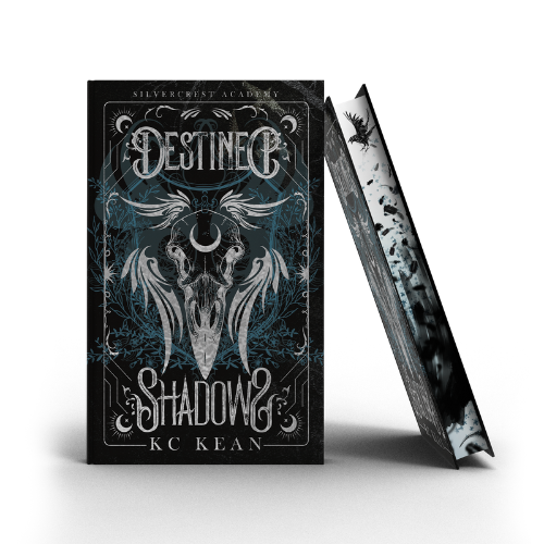 
                  
                    Silvercrest Academy - Books 2 - 4
                  
                